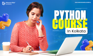 Student learning Python course in Kolkata at Weavers Web Academy