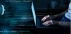 Backend Development, Tools & Version Control