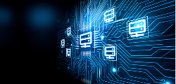 Database & API Development: 