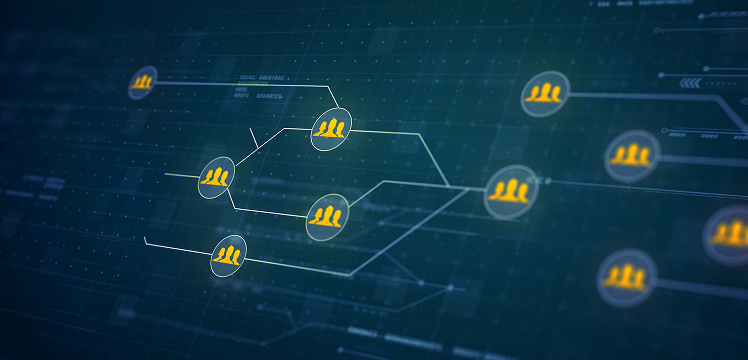 Lead Management and Automation Workflow